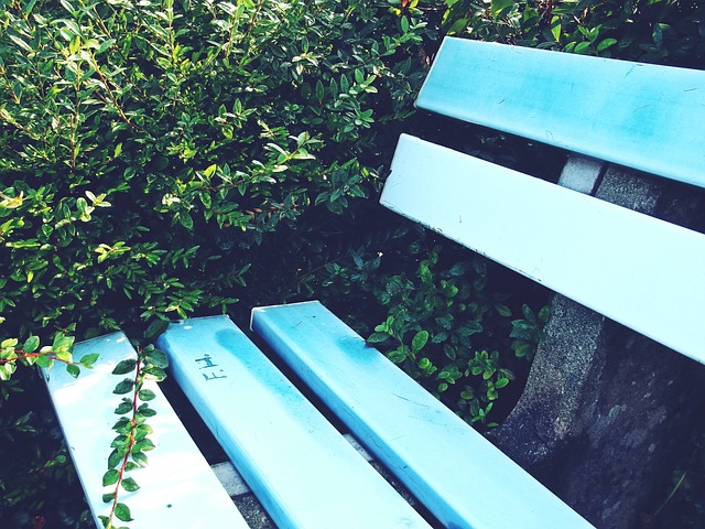 詹皇对此交 詹皇对此交