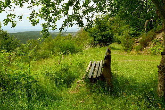 无形资产 无形资产